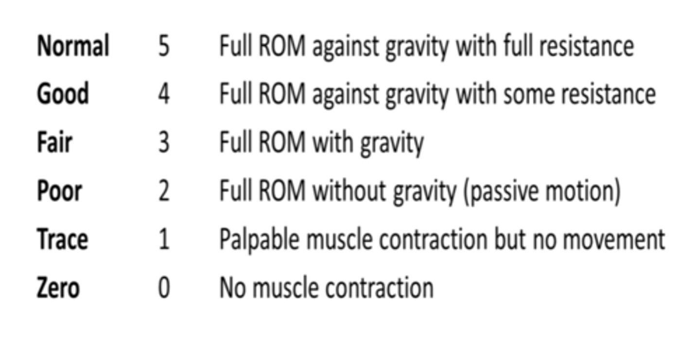 knowt flashcard image