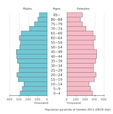 <p>Population Pyramid</p>