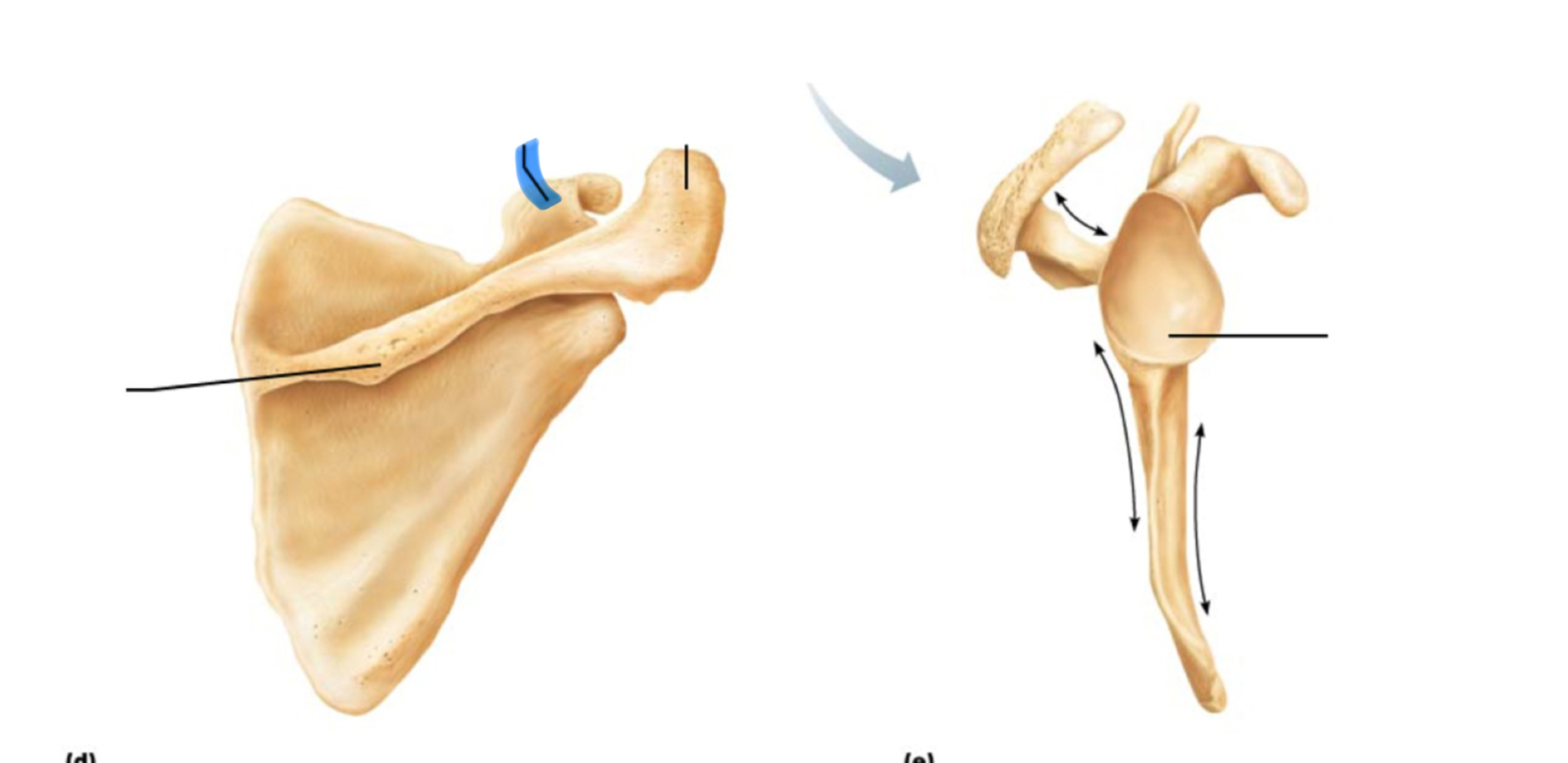 <p>What marking is this?</p>