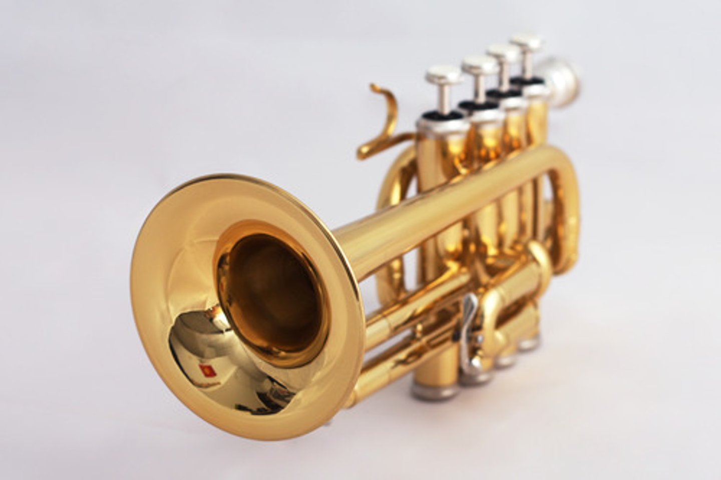 <p>trumpet</p>