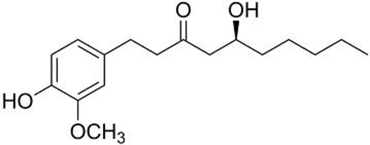 <p>(chain can have more carbons)</p>