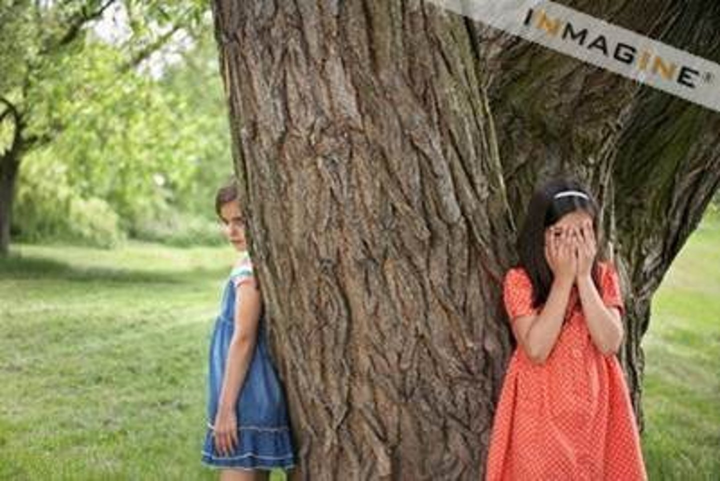 <p>to play hide-and-go-seek</p>