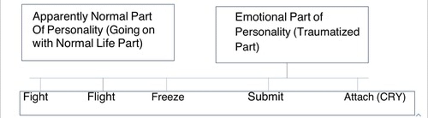 <p>Secondary Dissociation:<br>1) More avoidance and more preoccupation<br>2) Emotional part becomes compartmentalized: subparts evolve reflecting different survival strategies needed in a dangerous world</p>