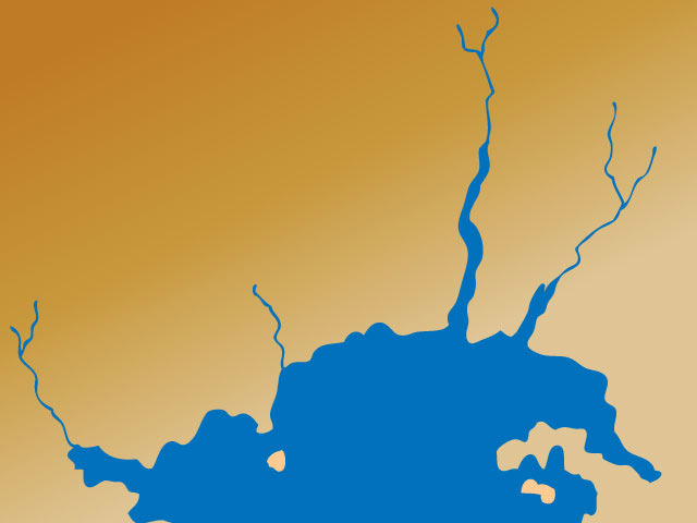 <p>nizke obale z veliko amplitudo valovanja in raznolikimi ekosistemi, ki jih sestavljajo ustja rečnih dolin in omogočajo ladijski promet tudi več km v notranjost, lahko tudi poplavljajo, zato imajo zapornice</p><p></p><p>npr. obale rek Z Evrope (Ren, Sena, Loara, Odra, Łyna…)</p>