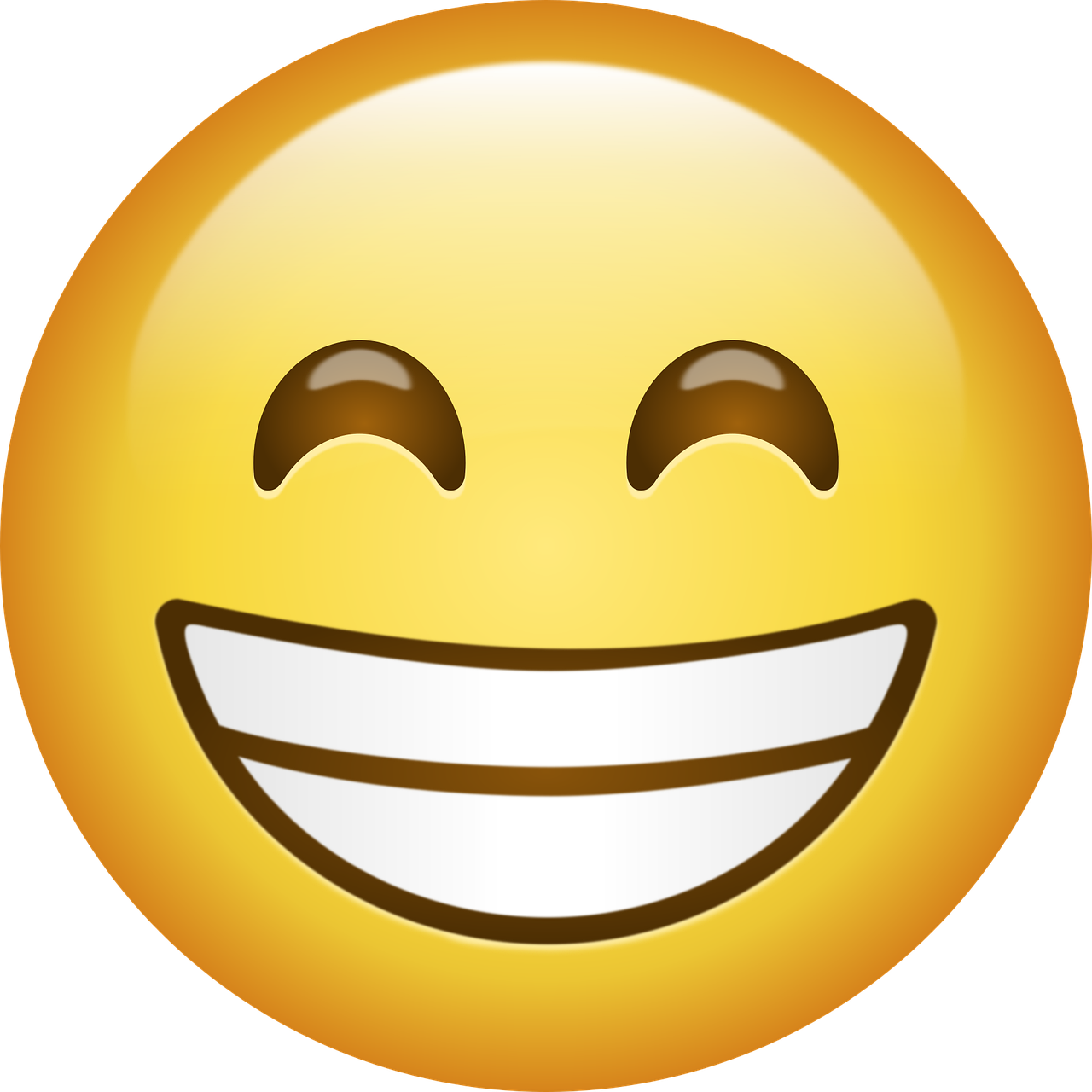 <p>Happiness / joy</p>