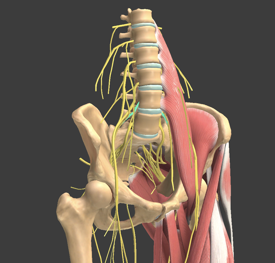 <p>What structure is shown?</p>