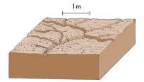 <ul><li><p>The removal of soil by concentrated water running through little streamlets. Rills can be repaired by tillage or minimal land leveling.</p></li></ul><ul><li><p>Typically form in different locations from year to year</p></li><li><p>Rills develop and deepen downslope:</p><ul><li><p>Water flowing in rills expands erosion.</p></li><li><p>Head cutting moves upslope.</p></li><li><p>Significant sediment transport.</p></li></ul></li></ul><p></p><p></p>