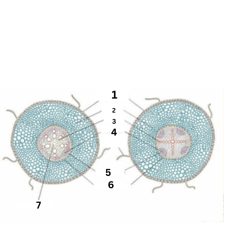 <p>What part is no. 6?</p>