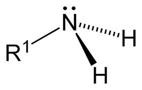 <p>What functional group is this?</p>