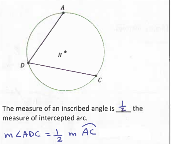 <p>The measure of an inscribed angle is ½ the measure of intercepted arc</p>