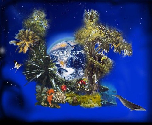 <p>All living things (or organic matter from living things) on earth</p>