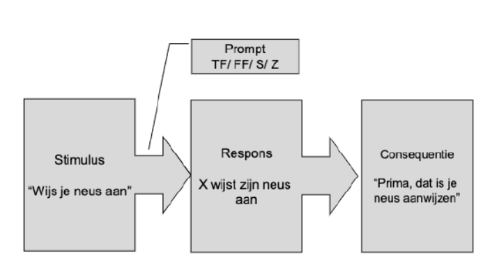 <p>Indien van toepassing, volgt direct na de stimulus de prompt. Daarna komen de respons en de consequentie.</p>