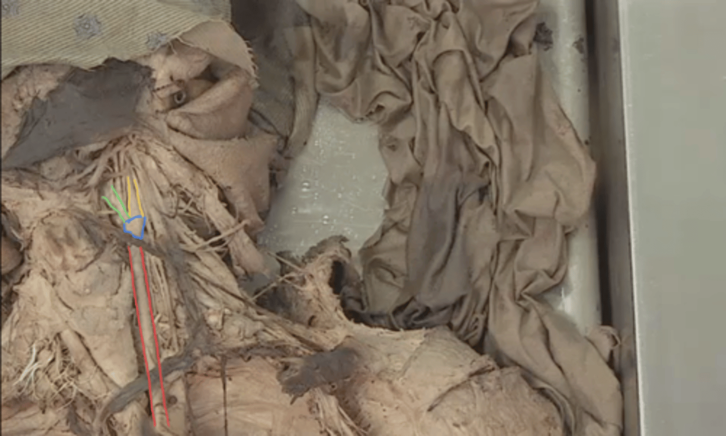 <p>identify structure in red</p>