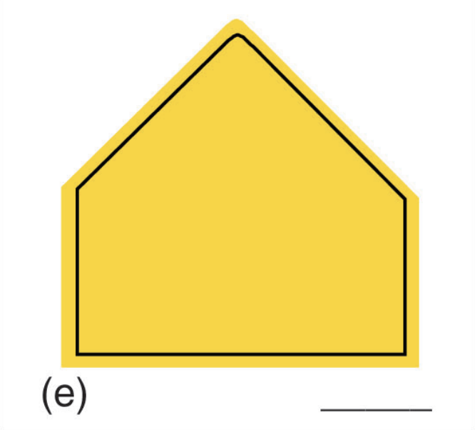 <p></p>