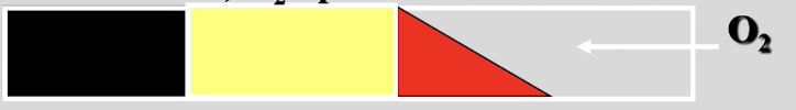 <p>this test shows&nbsp;</p>