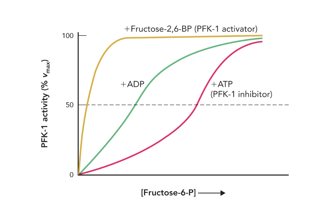 <p><strong>Q:</strong> How does Figure 9.42 illustrate PFK-1 regulation?</p>