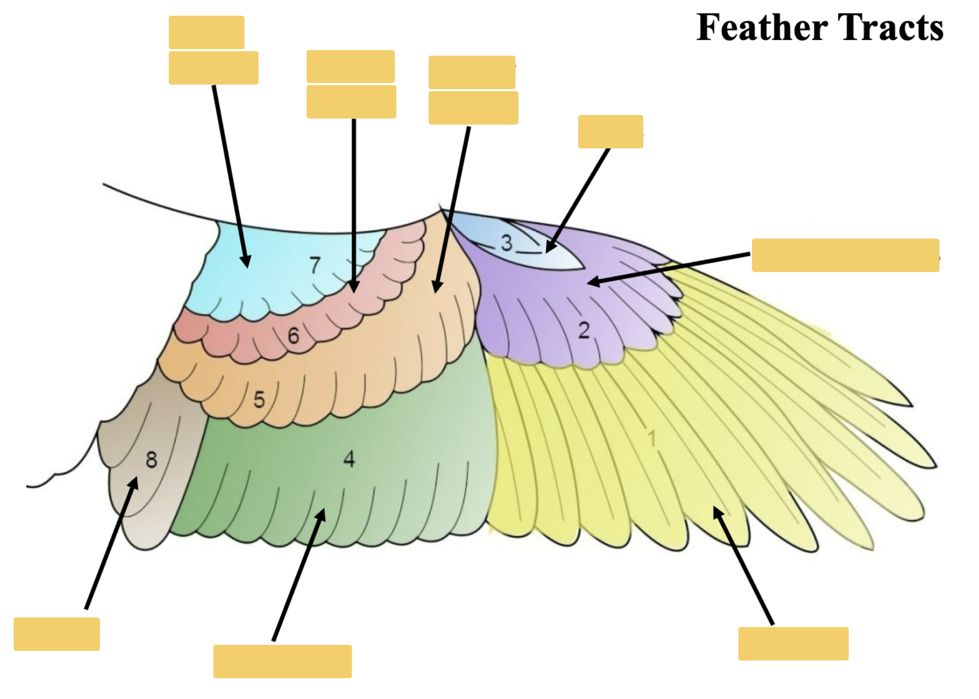<p>What is 2? </p>