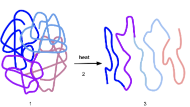 <p>loss of conformation or shape</p><ul><li><p>no longer active</p></li><li><p>caused by high temp or extreme pH</p></li></ul>