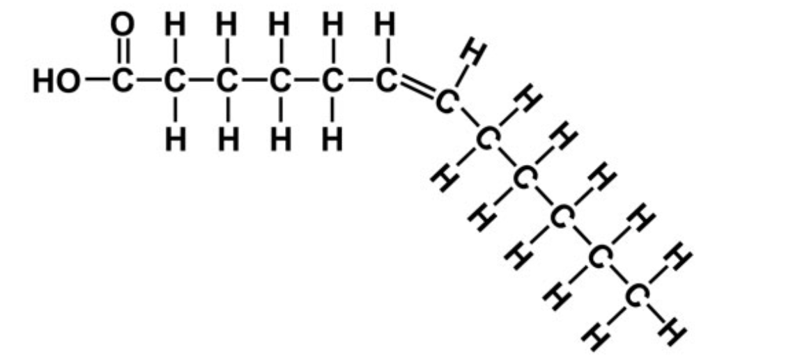 <p>What type of fatty acid is this and why?</p>