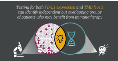 <p>No - Not really, patients with high TMB do not respond to therapy</p><p>Changes depending on Cancer, e.g. works very well in Melanoma</p>