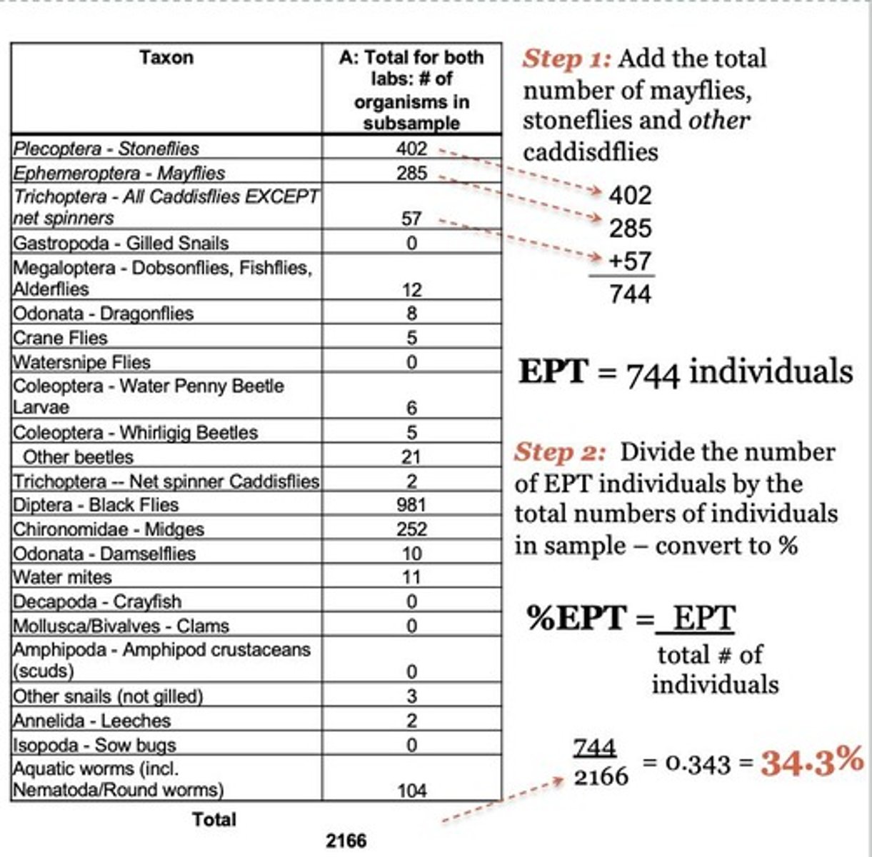 <p>Ephemeroptera (Mayflies), Plecoptera (Stoneflies), and Trichoptera (Caddisflies), which are sensitive to pollution.</p>