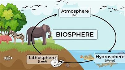 <p>What are some different parts of the biosphere </p>