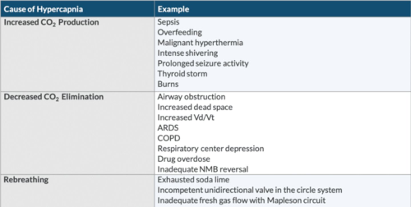 <p>↑ CO2 production: </p><p>-sepsis</p><p>-overfeeding</p><p>-MH</p><p>-intense shivering</p><p>-prolonged seizure activity</p><p>-thyroid storm</p><p>-burns</p><p>↓ CO2 elimination: </p><p>-AW obstruction</p><p>-↑ dead space</p><p>-↑ Vd/Vt</p><p>-ARDS</p><p>-COPD</p><p>-respiratory center depression</p><p>-drug OD</p><p>-inadequate NMB reversal</p><p>Rebreathing: </p><p>-exhausted soda lime</p><p>-incompetent unidirectional valves in the circle system</p><p>-inadequate FGF w/Mapleson circuit</p>