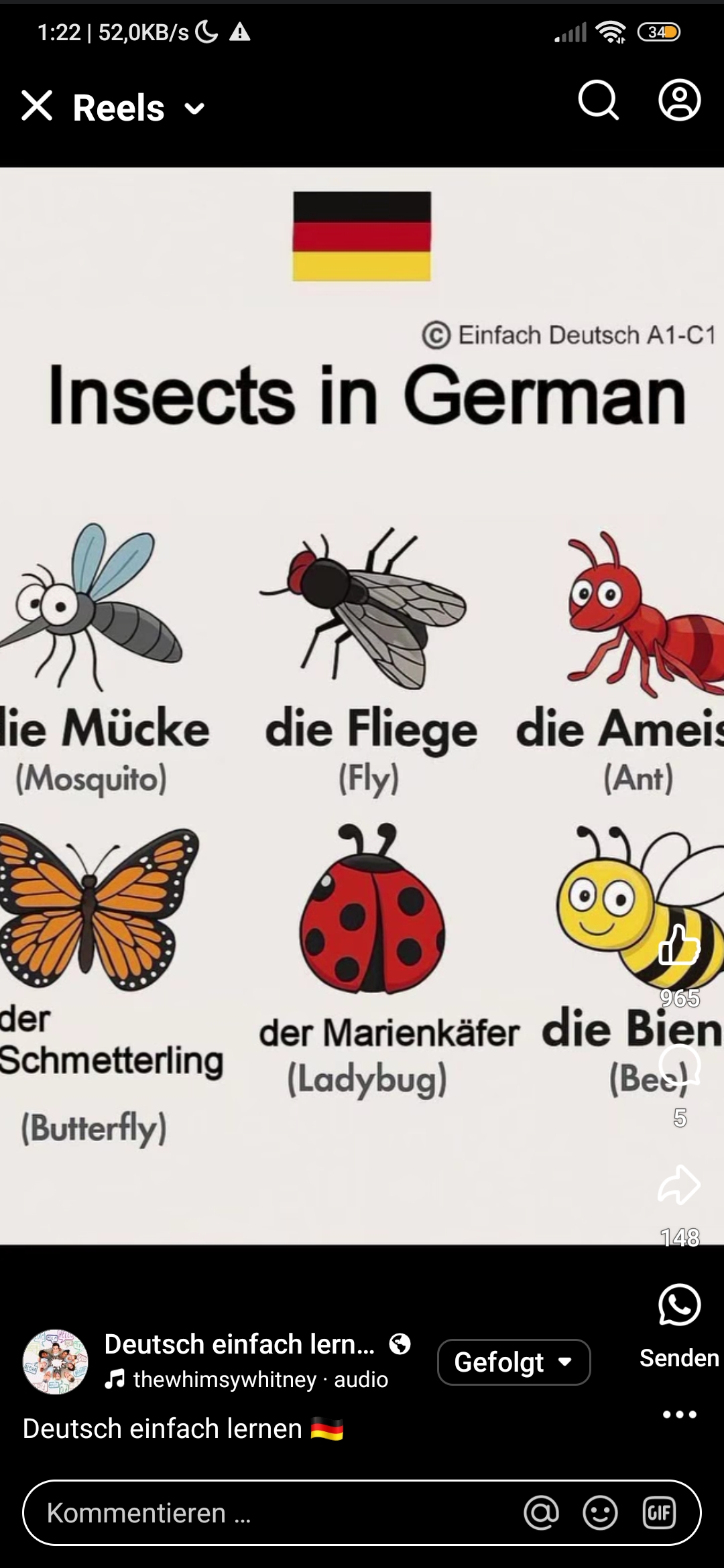 <p>পোকামাকড় </p><p>Welches Insekt hasst du?</p><p>Wie heißt das Insekt?</p>