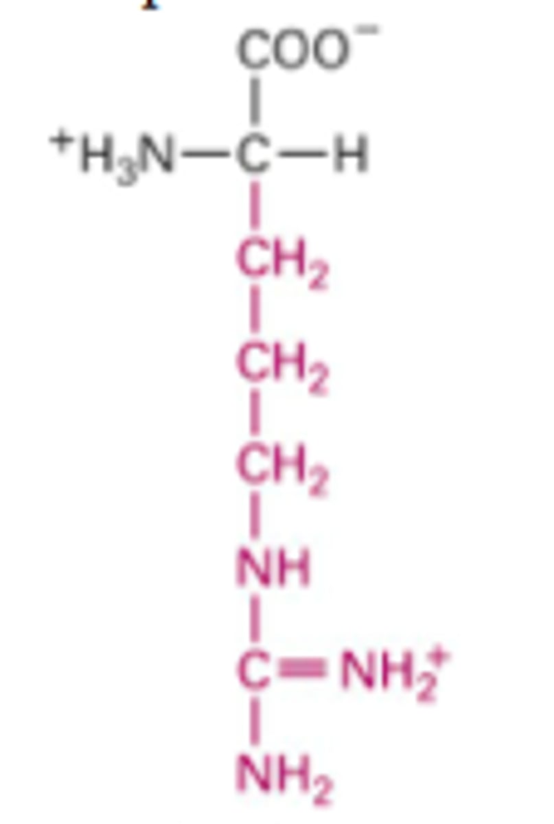 <p>What Structure is this?</p>