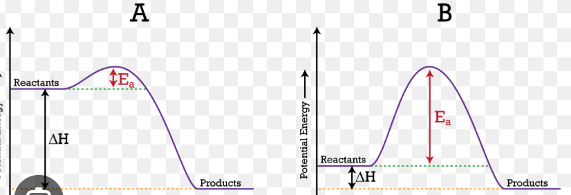 <ul><li><p>Potential energy of reactants or products is the difference from when they are a straight line until the ground</p></li><li><p>Heat of reaction is the difference between the straight line of the products vs the reactants </p></li><li><p>The reverse reaction is from the hump up until the straight line of the products</p></li><li><p>the activation energy is from the hump up until the straight line of the reactions</p></li><li><p>the activation complex or transition state is from the hump until the ground.</p></li></ul><p></p>