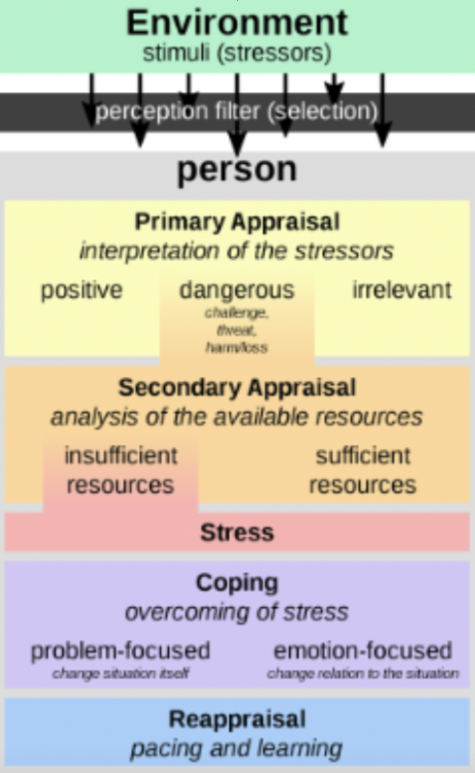 Stress appraisal refers to the process by which individuals evaluate and cope with a stressful event. Stress appraisal theory is concerned with individuals' evaluation of the event, rather than with the event per se. People differ in how they construe what is happening to them and their options for coping.