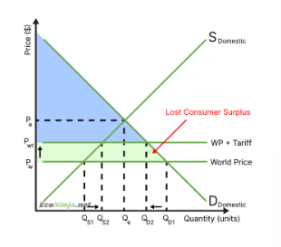 <ul><li><p>surplus lost as prices increase</p></li><li><p>in the long run, foreign companies may choose to stop selling as the price is too high, which decreases competition, decreasing consumer choice</p></li><li><p>the effects depend on the price elasticity of the product</p></li></ul><p></p>