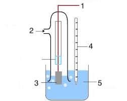 <p>Label the 5 parts of the standard hydrogen electrode.</p>