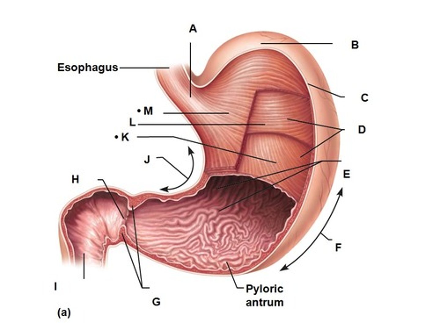 <p>A =?</p>