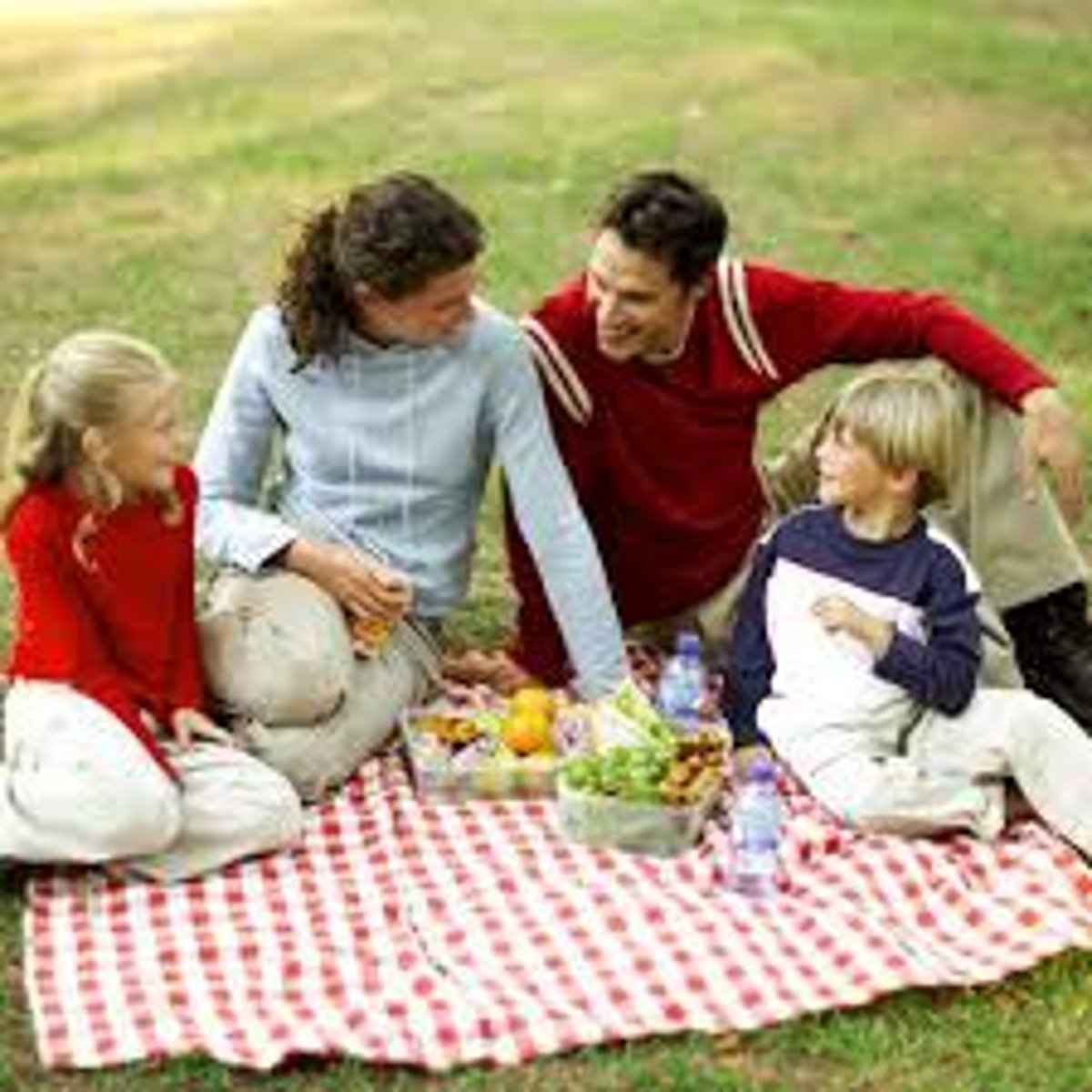 <p>to have a picnic</p>