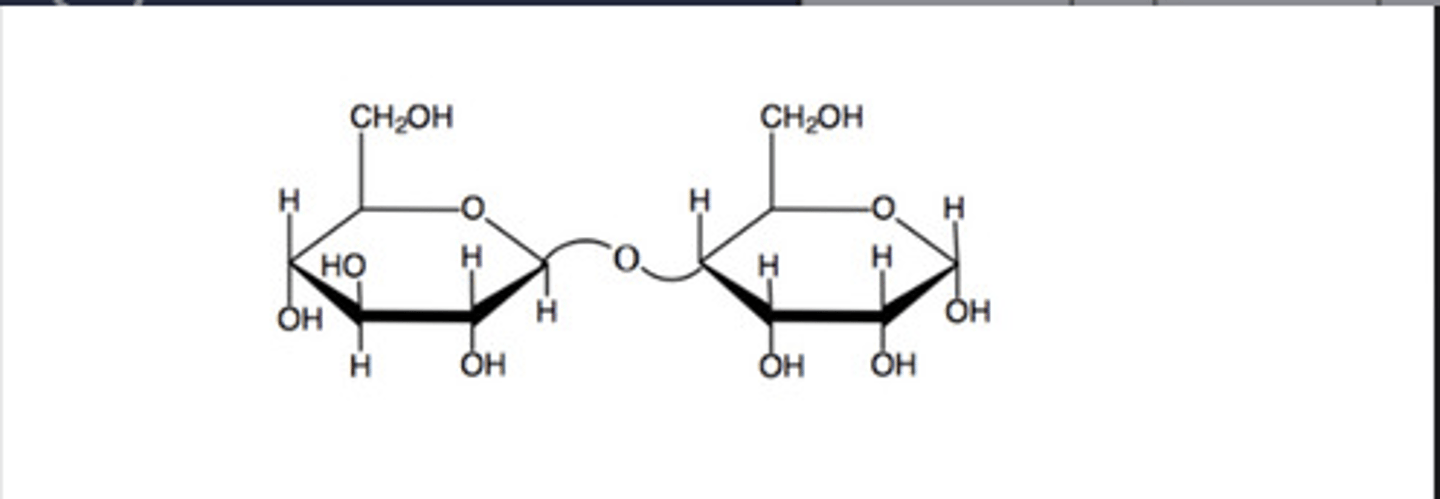 <p>A) In the above structure, how many monosaccharide units are furanoses and how many are pyranoses?</p><p>B) What is the linkage between the monosaccharides?</p><p>C) Is this a reducing sugar?</p>