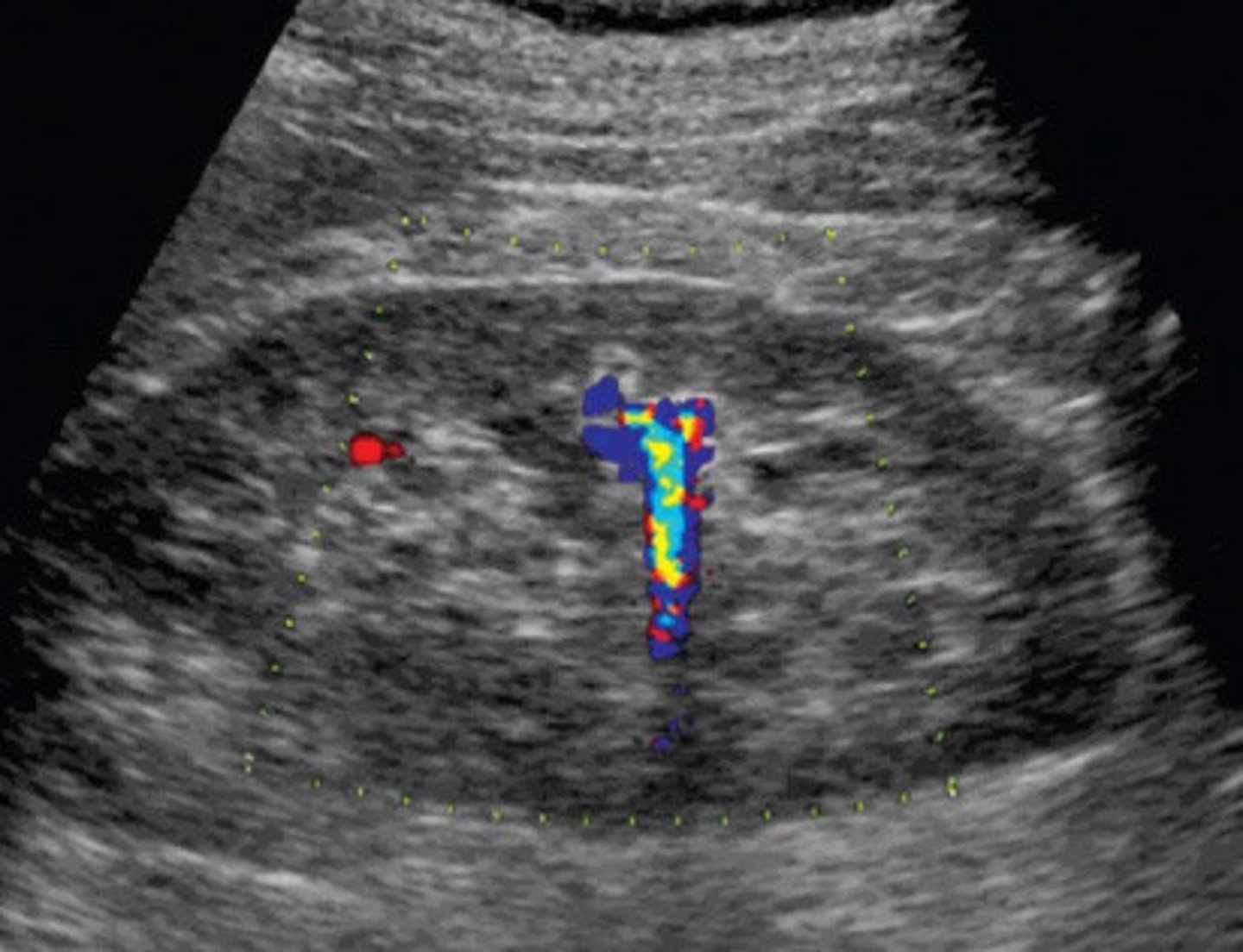 <p>What does this image show</p>