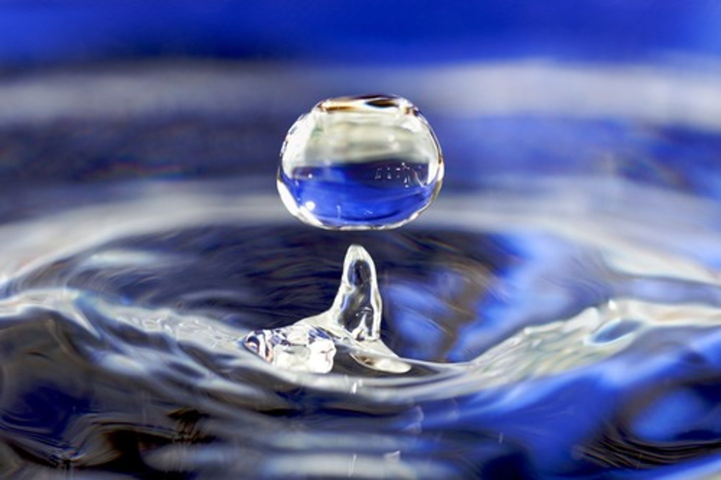 <p>(v): tưới nước</p>