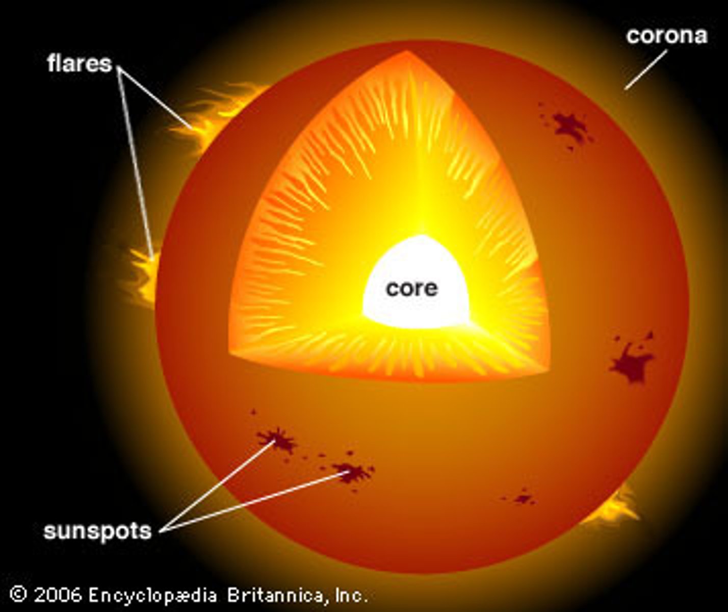 <p>- The inner most layer<br>- where energy is made via nuclear fusion reactions<br>- highest temperature<br>- smallest radius<br>- central region where hydrogen atoms fuse to form helium, releasing energy in the process<br>- 10-15 million Kelvin<br>- energy from core takes 100,000 years to reach the surface</p>