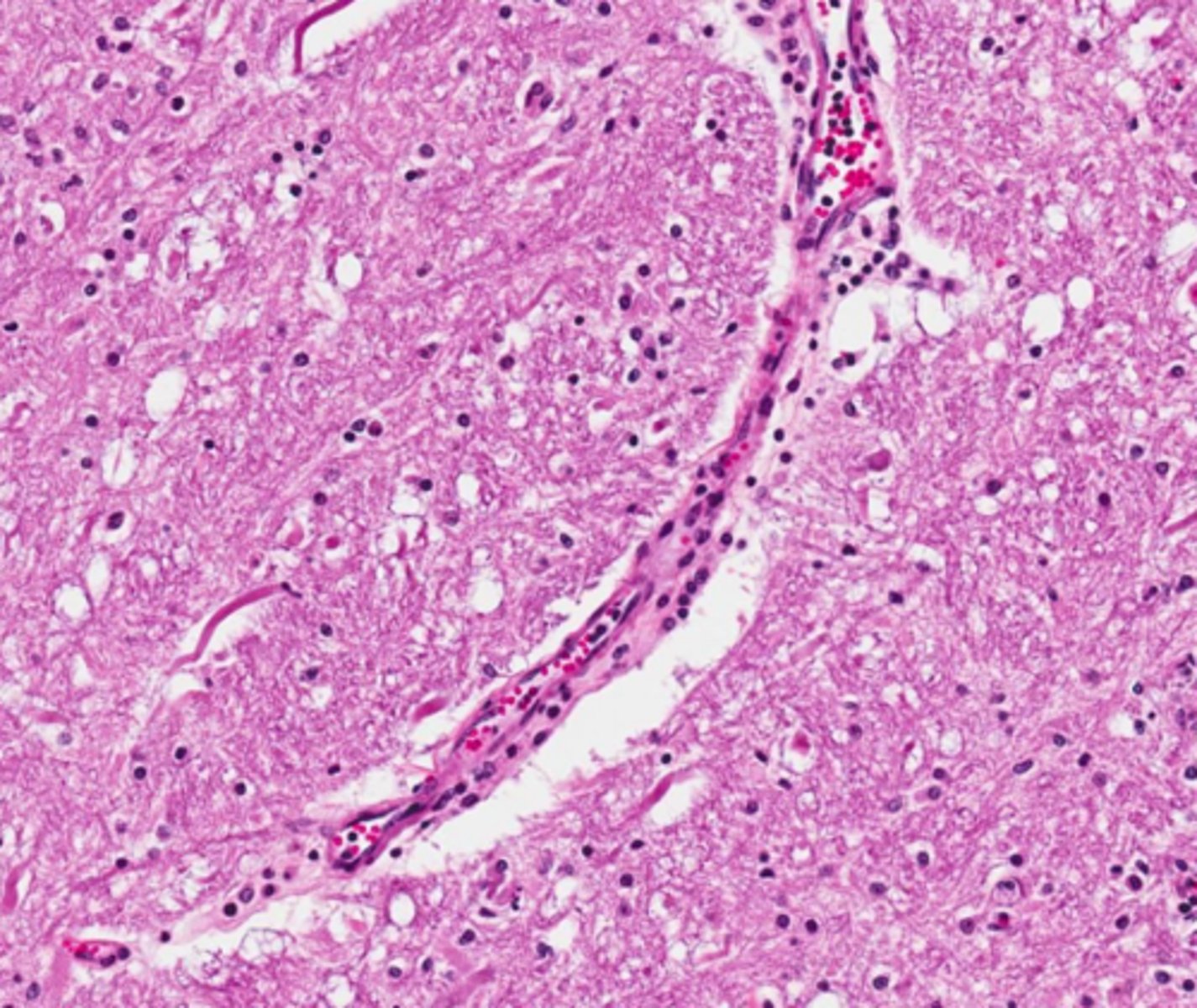 <p>what is this?</p>