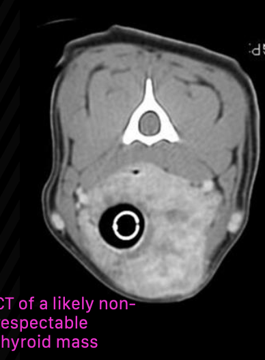 <p>not entirely necessary, but may be useful for surgical planning of fixed/invasive tumors</p><p>also useful for radiation planning</p>
