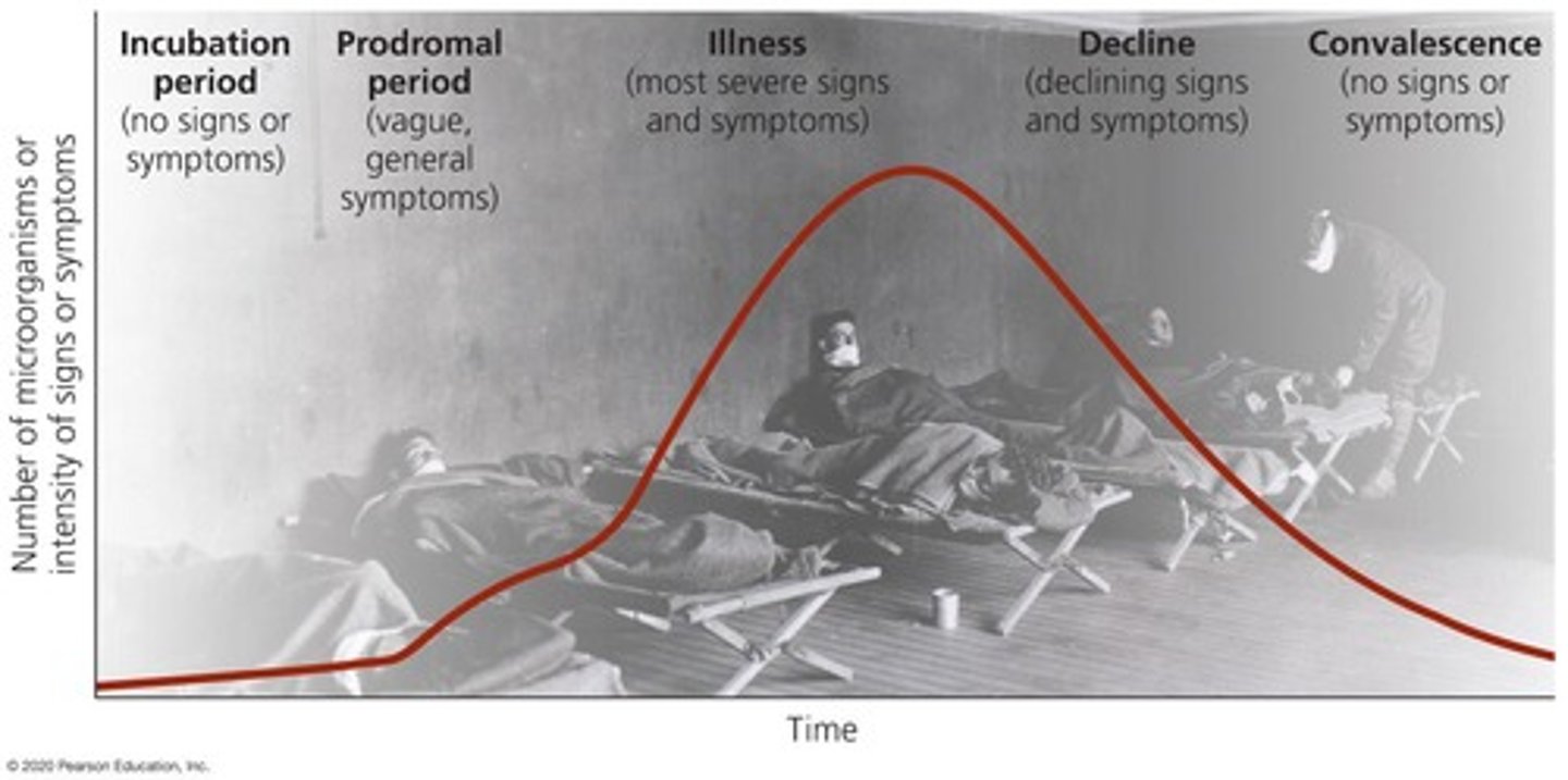 <p>The disease process occurs following infection and typically includes five stages: Incubation period, Prodromal period, Illness, Decline, Convalescence.</p>