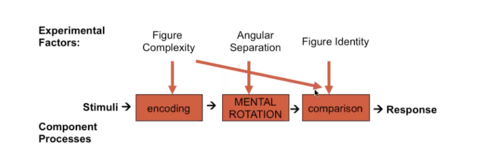 Observational Design
 -The purpose of the observational design is to structure selection of items so that defensible inferences about the theoretical constructs or attributes can be made. Validity!