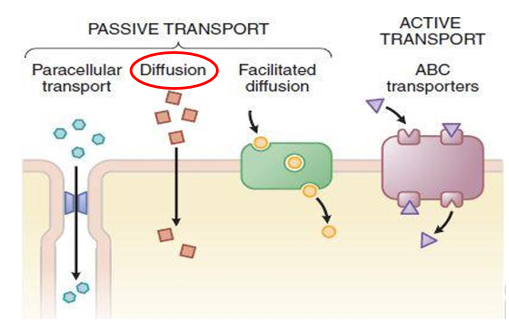 <p>Diffusion</p>