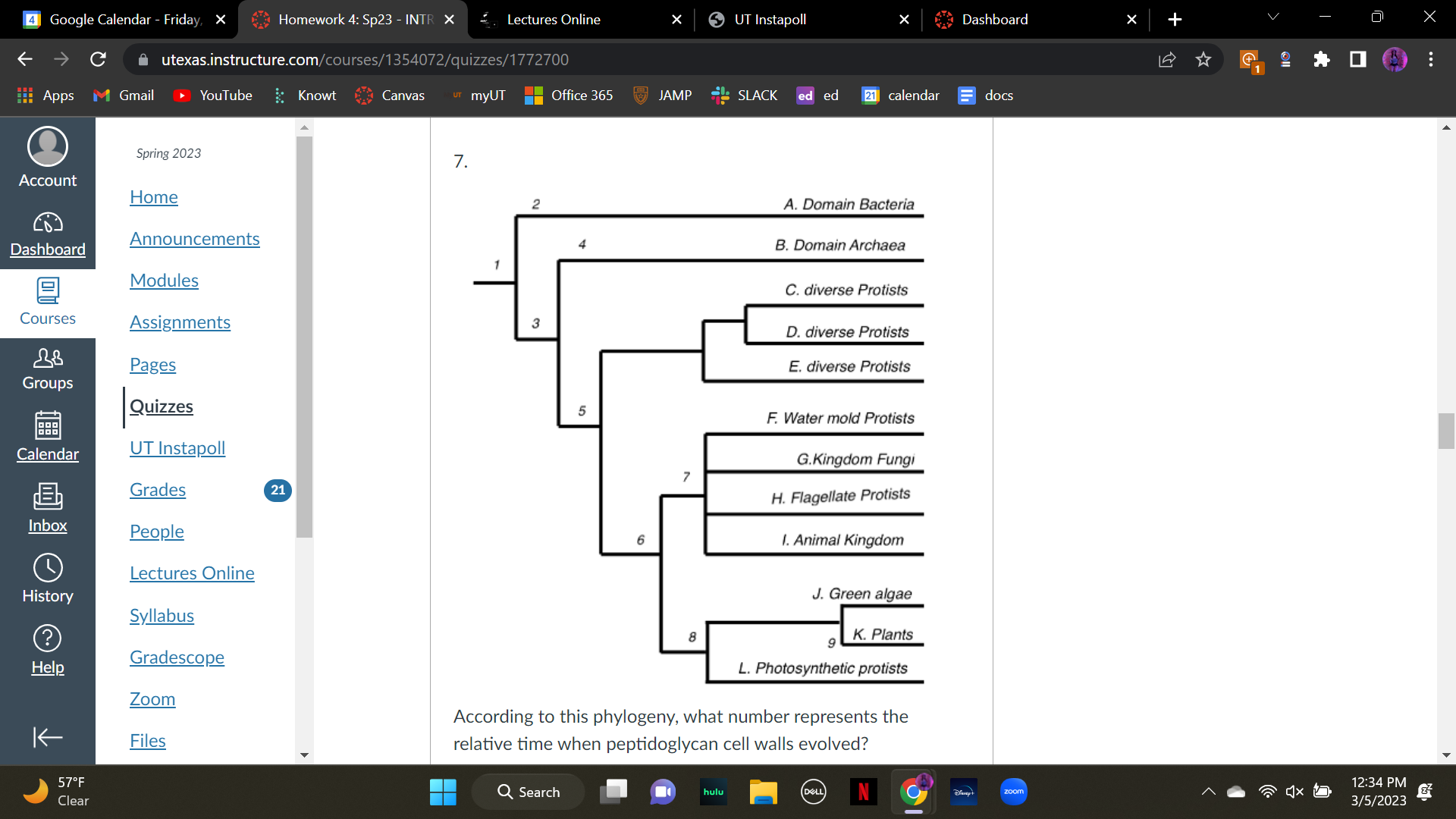 According to this phylogeny, what number represents the relative time when eukaryotic cell structure evolved?

 

A. 2

 

B. 3

 

C.4

\
D. 5

 

E. 6
