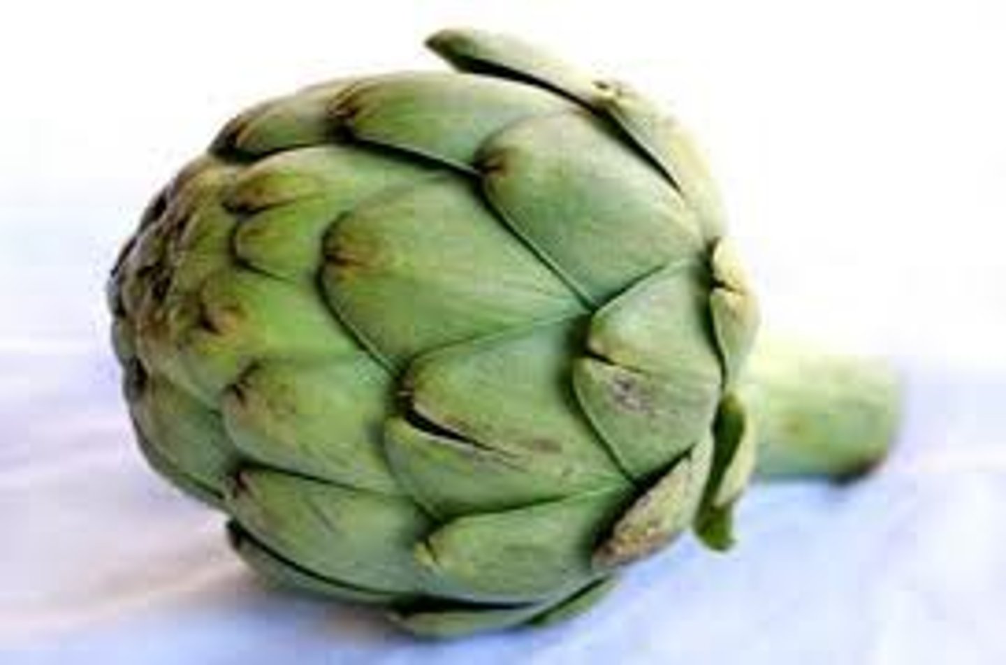<p>artichoke</p>