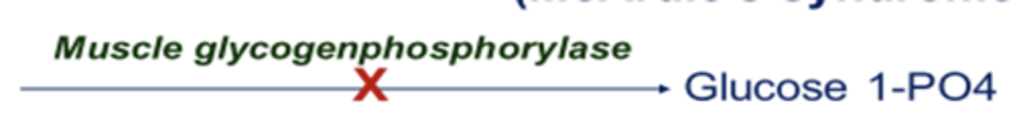 <p>muscle glycogen is abnormally high</p><p>- poor exercise tolerance</p><p>- temporarily weakness and cramping after exercise</p><p>- no rise in blood lactate during strenuous exercise</p><p>- myoglobinemia and myoglobinuria</p>