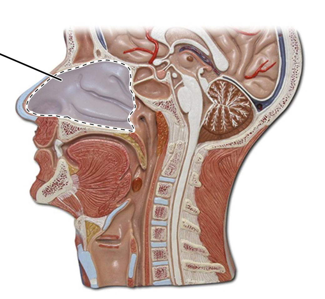 <p>What is this?</p>