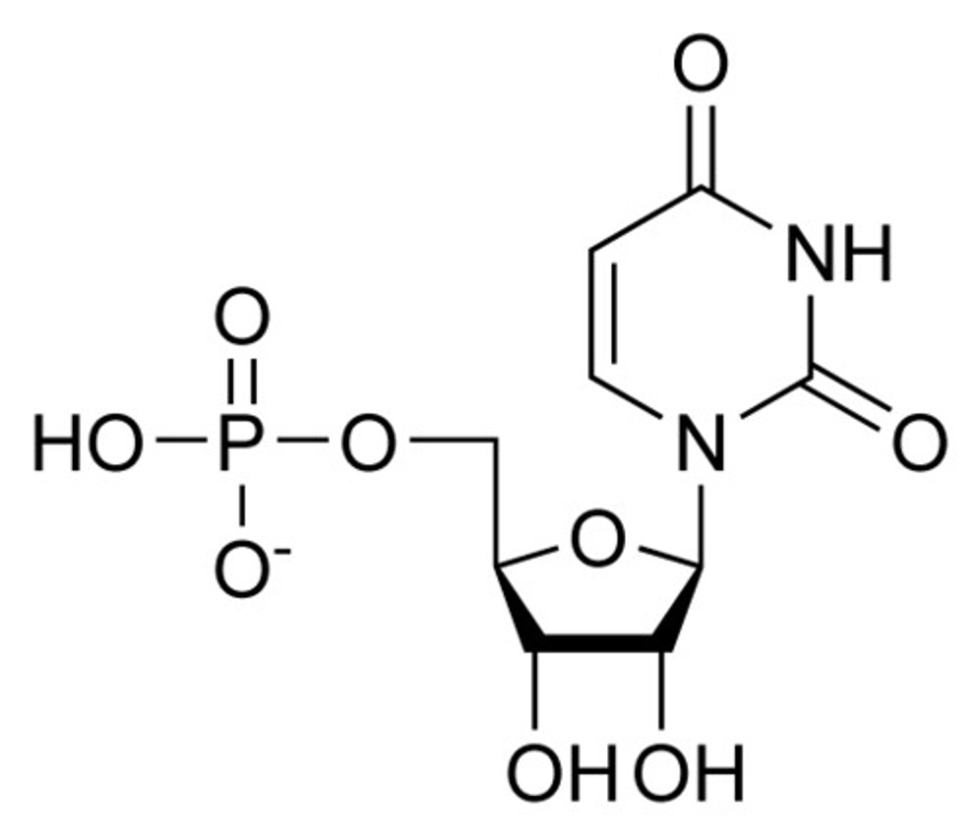 <p>STEP 6: DECARBOXYLATION OF OMP PRODUCT:</p>