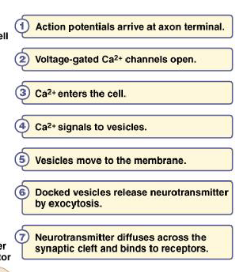 <p>“place in order” question</p>